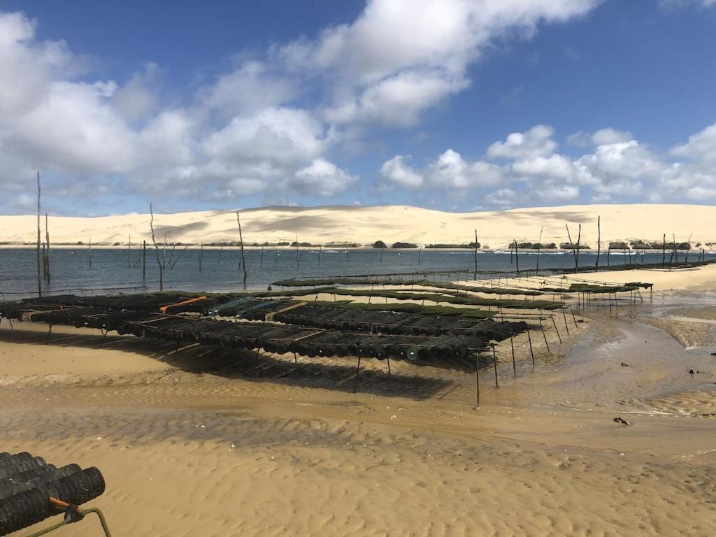 Ville Les Flots Bleus Proche Golf Arcachon ラ・テスト・ド・ビュシュ エクステリア 写真