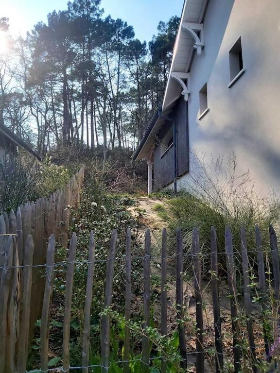 Ville Les Flots Bleus Proche Golf Arcachon ラ・テスト・ド・ビュシュ エクステリア 写真